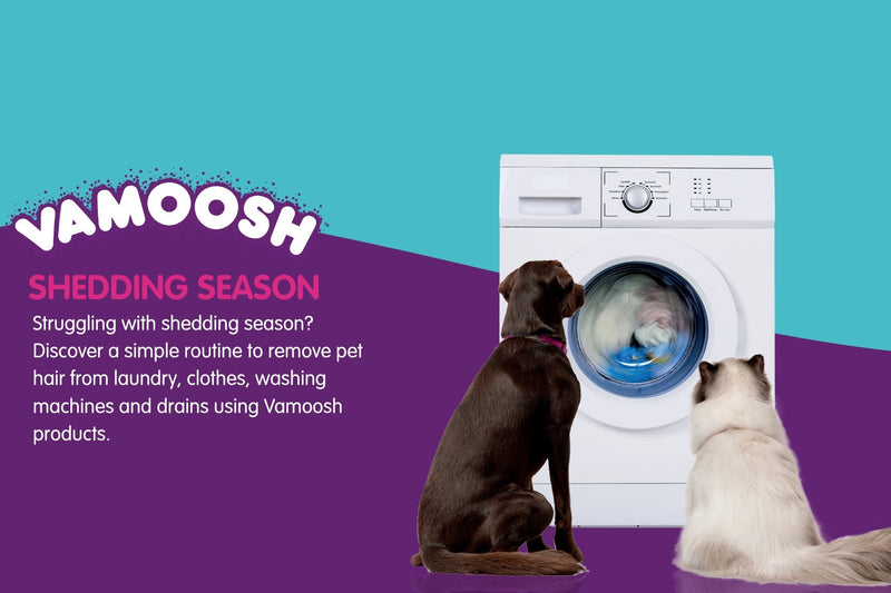 Shedding Season: Survival 101
